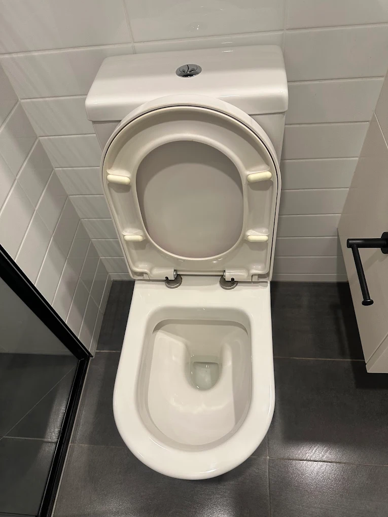 Toilet Deep Clean - Diamond Bond Cleaning